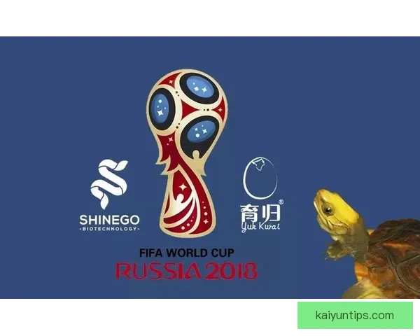 世界杯足球竞猜入口全面指南助你轻松掌握赛事投注技巧